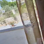 Holidays μεσσηνη * Meszíni